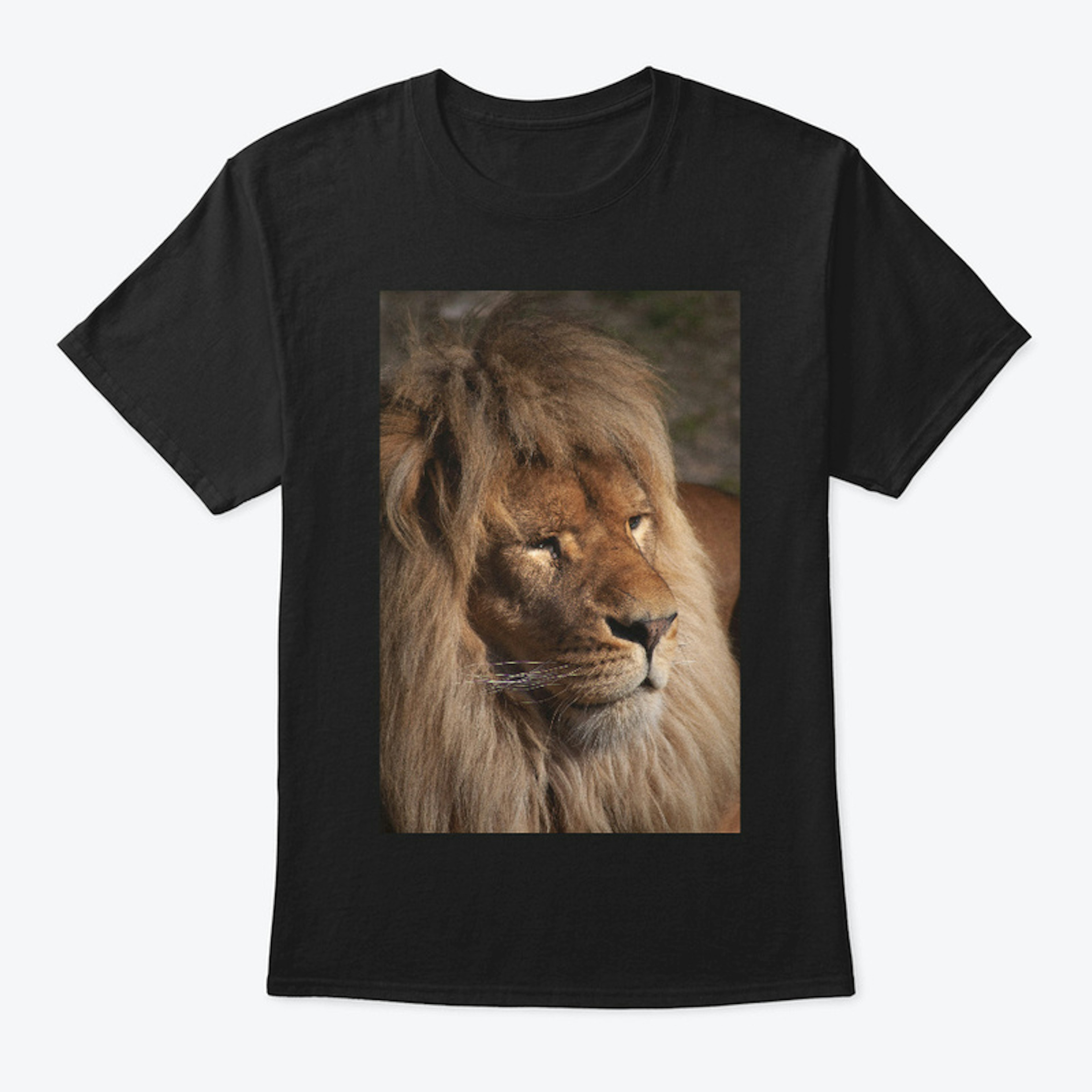 I Love Lions 